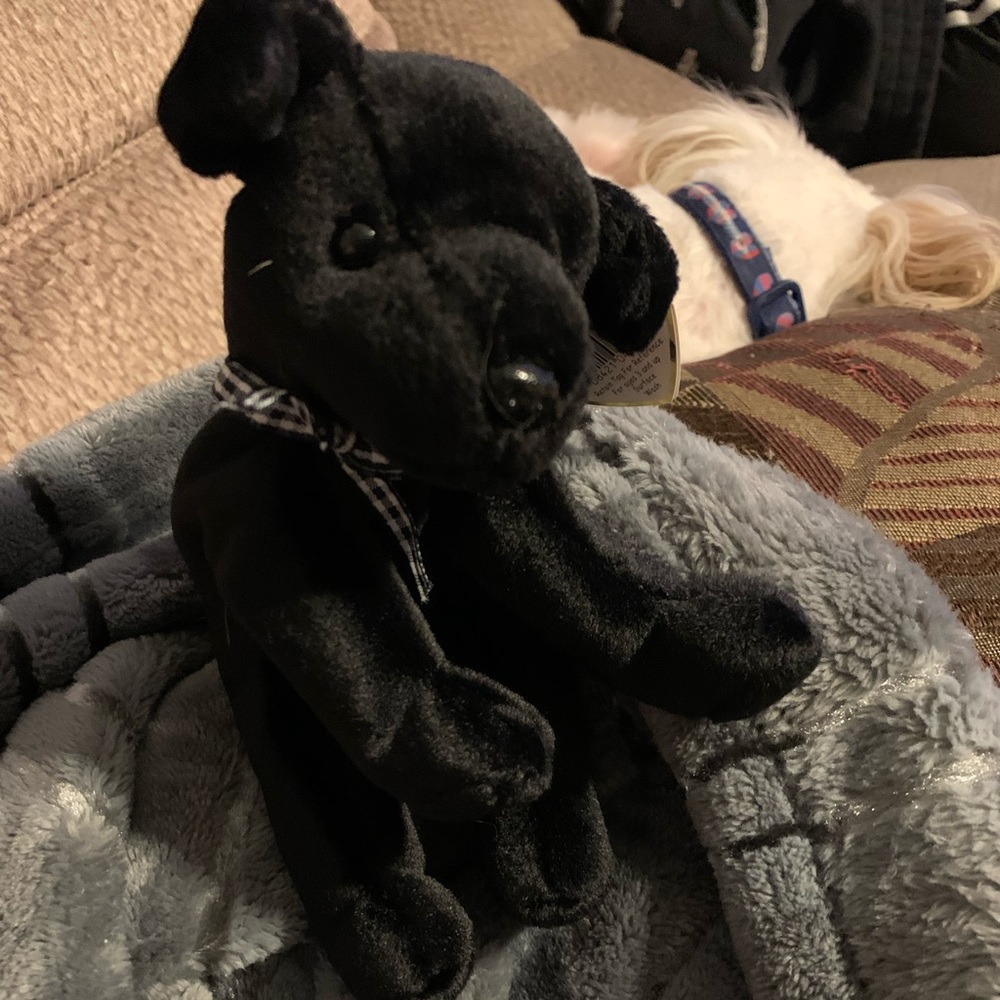 Ty 1998 Luke Beanie Baby